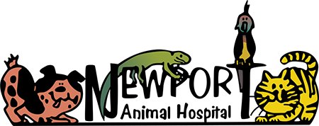 Newport Animal Hospital